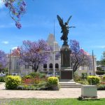The War Memorial and the Graaff Reinet City Hall